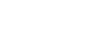 Logo Denis Group - riparazione elettrodomestici roma